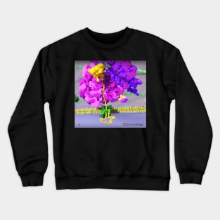 Ribosome Crewneck Sweatshirt